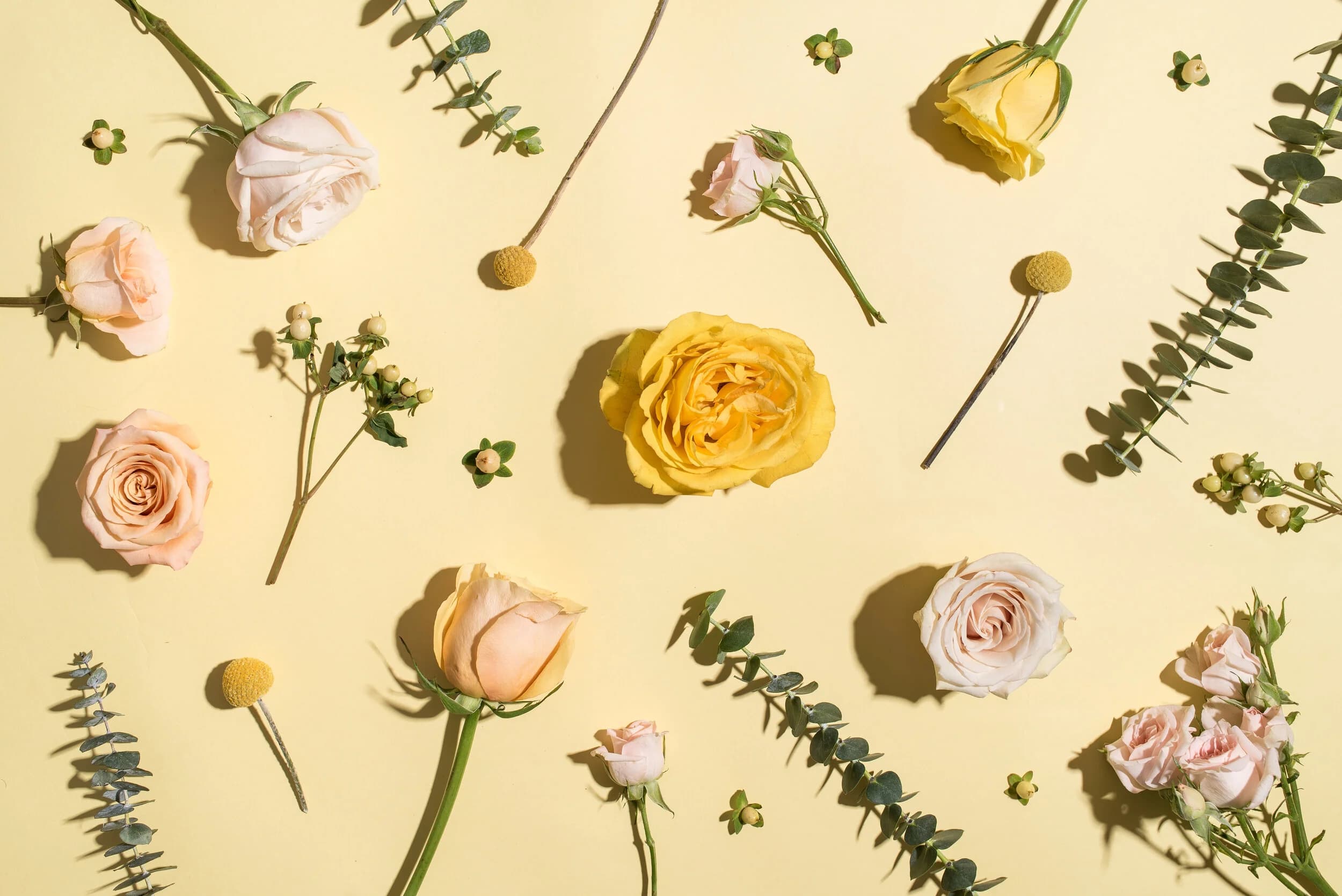 Studio editorial — seasonal flower flat lay on yellow