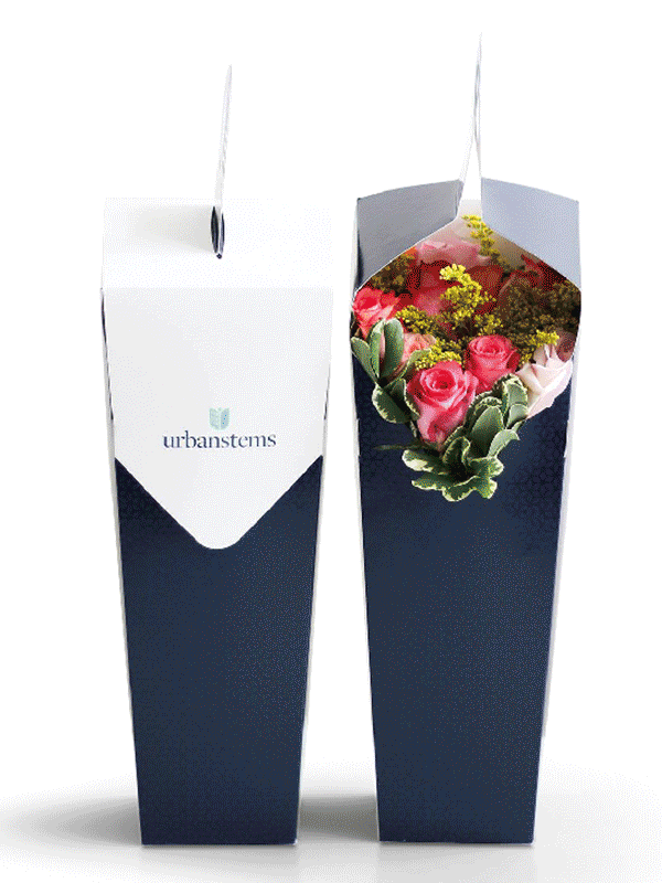 Original packaging — structural failures in transit